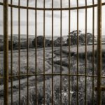 cagedEP